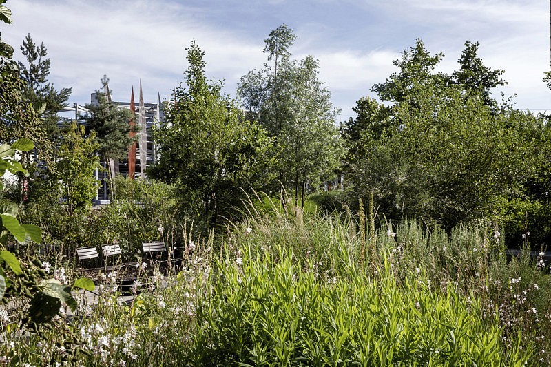 Jardins Des Cinq Sens Nantes D Ici L Paysages Territoires Pierre Yves Brunaud Photographe