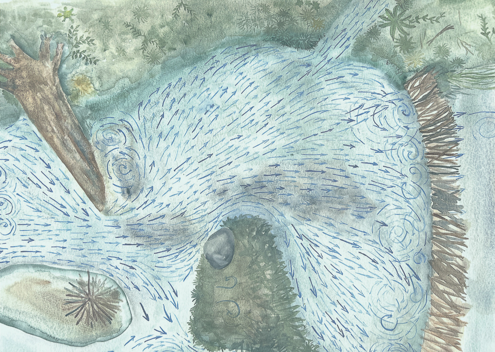  | Aquarelle © Suzanne Husky