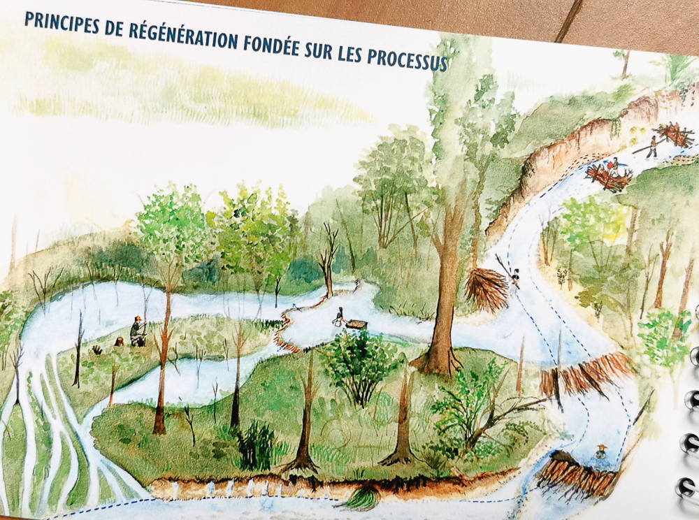  | Aquarelle © Suzanne Husky