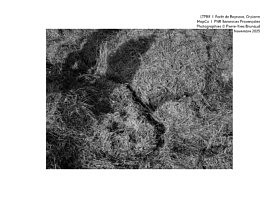 LTPBR  l  Orpierre  l  MapCa  l  PNR Baronnies